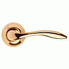 Ручка Morelli Львиная лапа MH-05 GP  (золото)