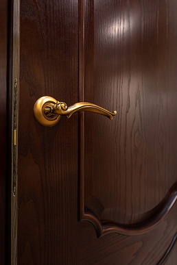 Богема, 800х2100, натуральный шпон (тон 30)